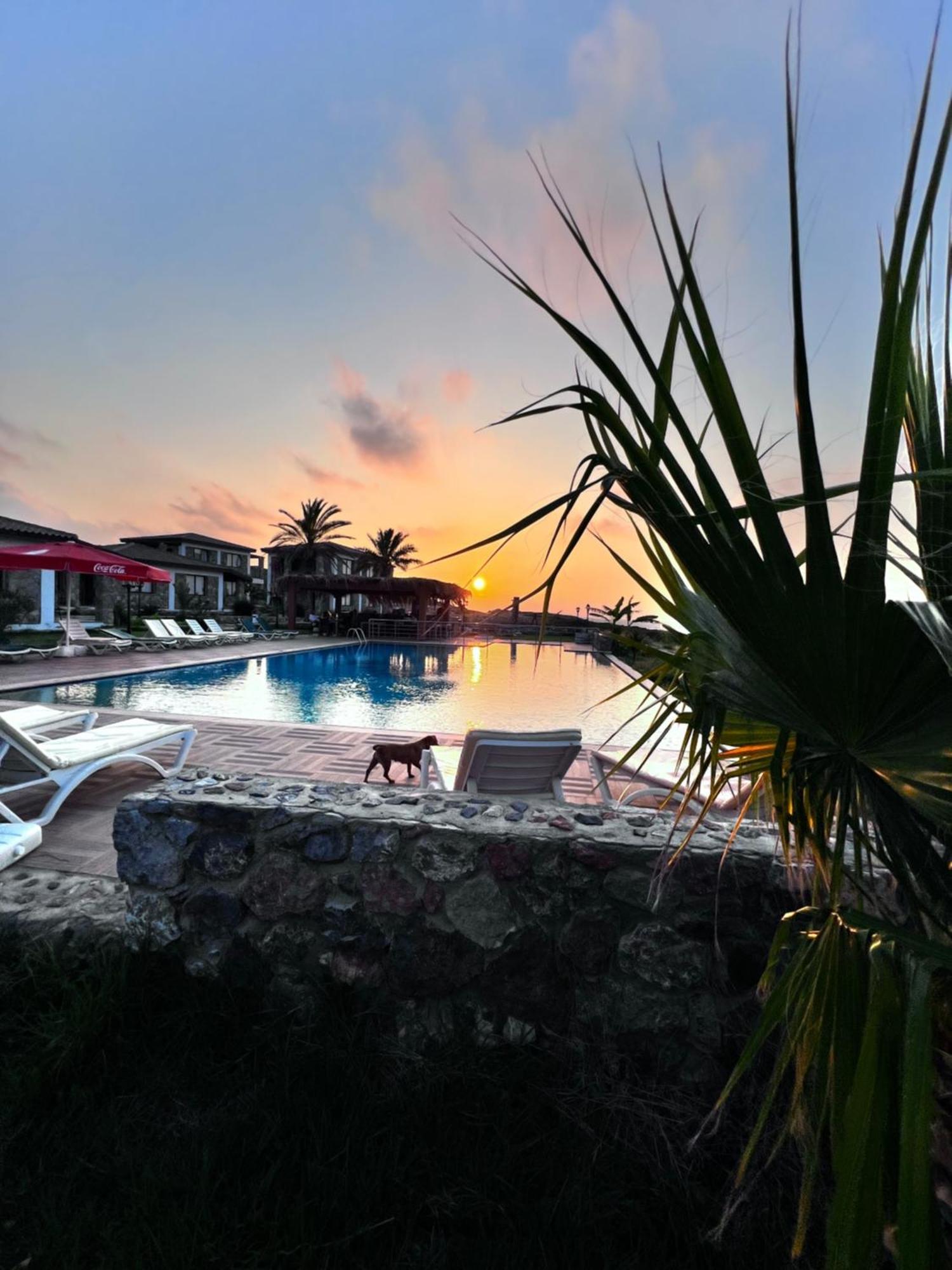 فاماغوستا Ardic Agaci Holiday Village المظهر الخارجي الصورة